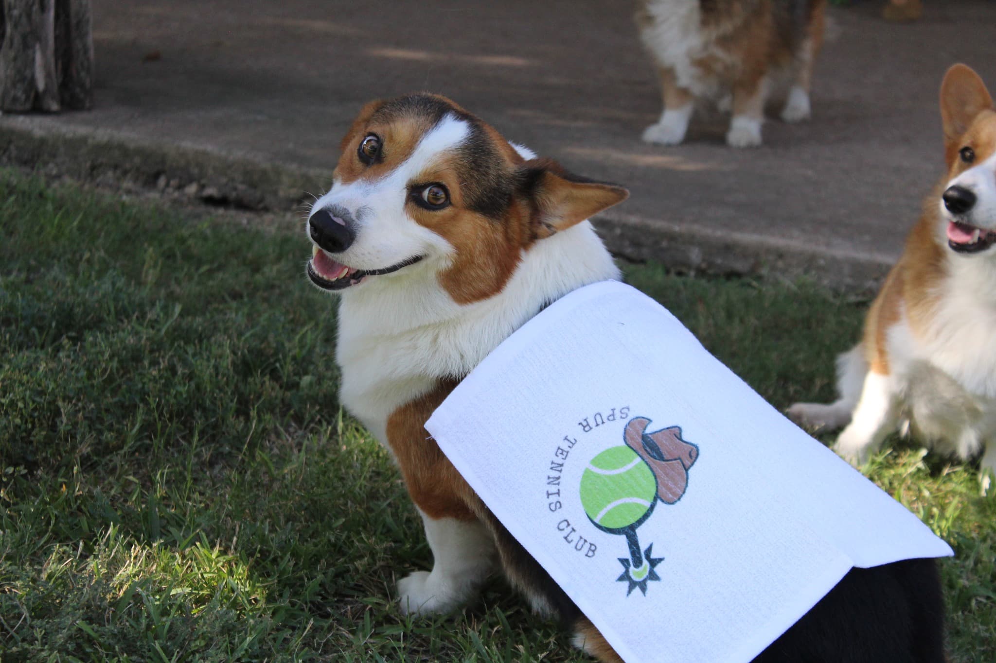 Spur Tennis Club community photo 4
